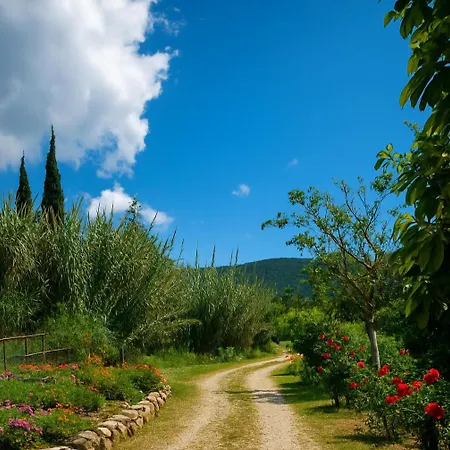 Rodanthy Iv * Кателиос