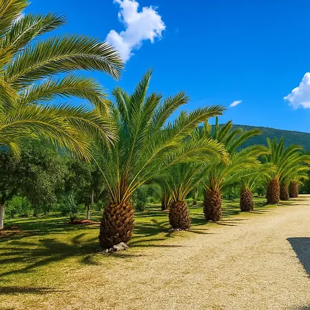 Rodanthy Iv Апартаменты