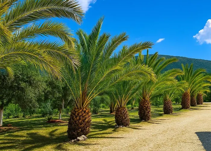 Rodanthy Iv Апартаменты