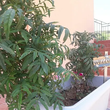 Διαμέρισμα Rodanthy Iv *